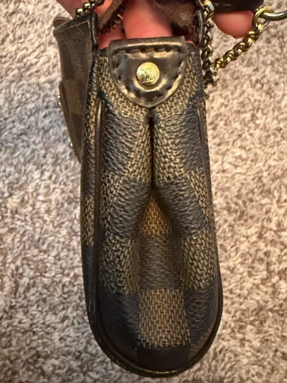 Louis Vuitton authentic louis